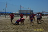 thumb_102_0589.JPG